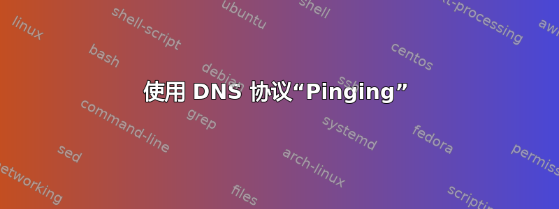 使用 DNS 协议“Pinging”