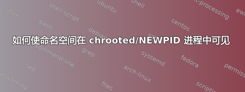 如何使命名空间在 chrooted/NEWPID 进程中可见