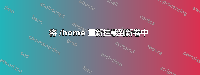 将 /home 重新挂载到新卷中