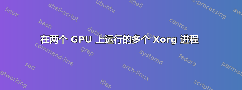 在两个 GPU 上运行的多个 Xorg 进程