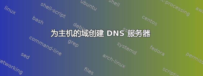 为主机的域创建 DNS 服务器