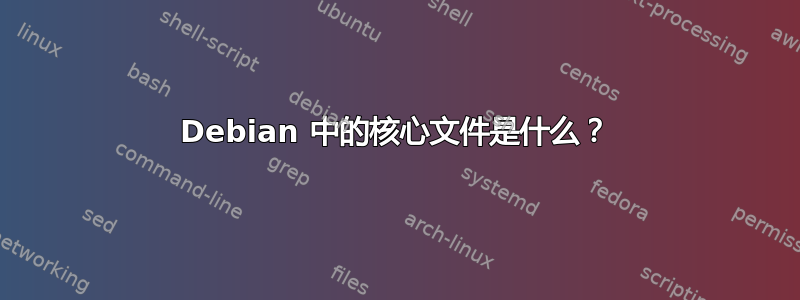 Debian 中的核心文件是什么？