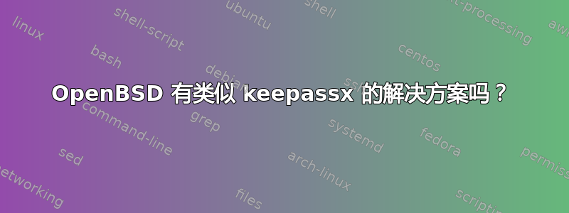 OpenBSD 有类似 keepassx 的解决方案吗？