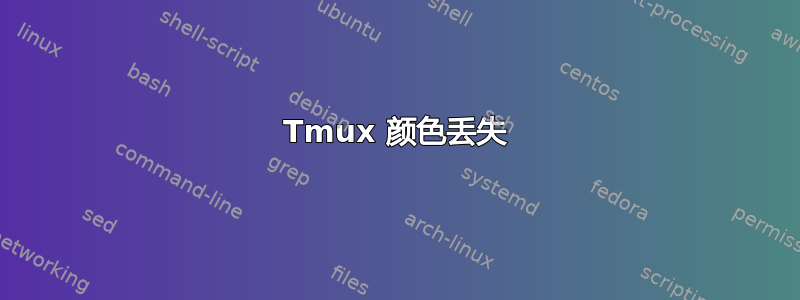 Tmux 颜色丢失