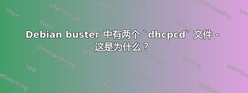 Debian buster 中有两个 `dhcpcd` 文件 - 这是为什么？