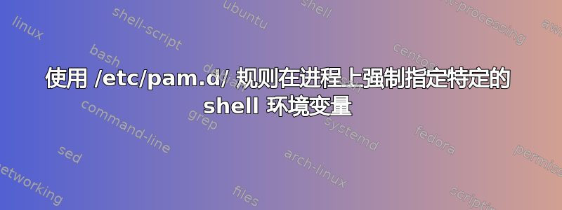 使用 /etc/pam.d/ 规则在进程上强制指定特定的 shell 环境变量