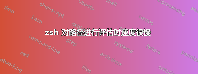 zsh 对路径进行评估时速度很慢