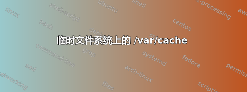 临时文件系统上的 /var/cache