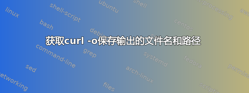 获取curl -o保存输出的文件名和路径