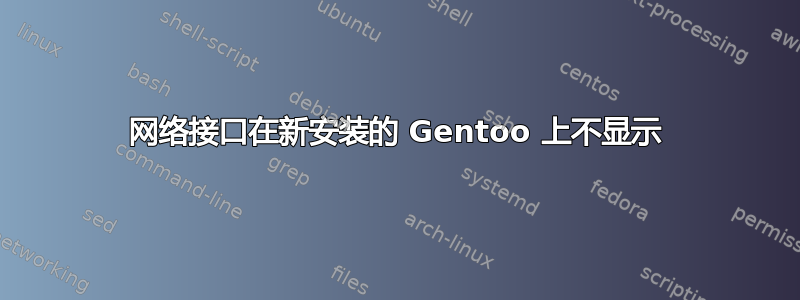 网络接口在新安装的 Gentoo 上不显示