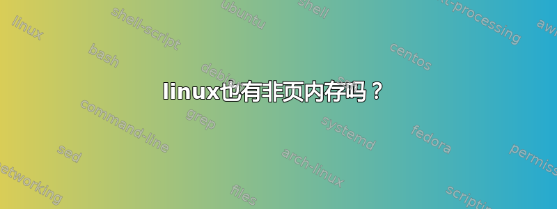 linux也有非页内存吗？