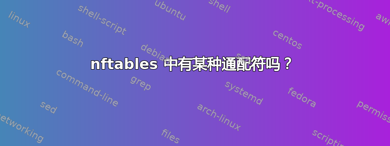 nftables 中有某种通配符吗？