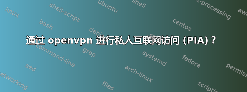 通过 openvpn 进行私人互联网访问 (PIA)？