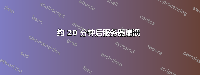 约 20 分钟后服务器崩溃