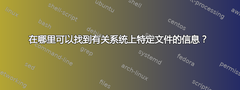 在哪里可以找到有关系统上特定文件的信息？