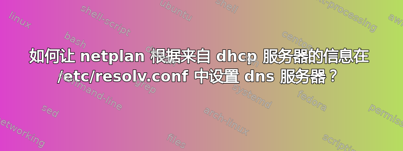 如何让 netplan 根据来自 dhcp 服务器的信息在 /etc/resolv.conf 中设置 dns 服务器？