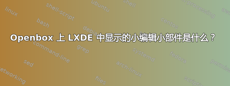 Openbox 上 LXDE 中显示的小编辑小部件是什么？