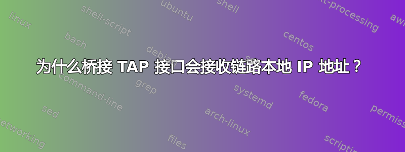 为什么桥接 TAP 接口会接收链路本地 IP 地址？