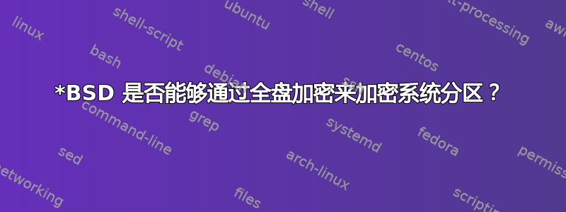 *BSD 是否能够通过全盘加密来加密系统分区？