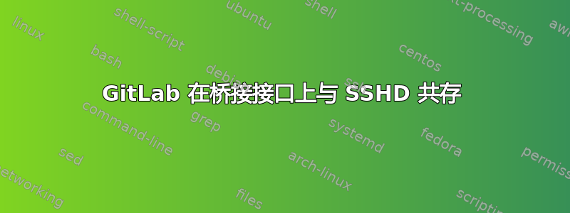 GitLab 在桥接接口上与 SSHD 共存