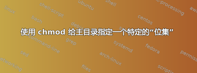 使用 chmod 给主目录指定一个特定的“位集”