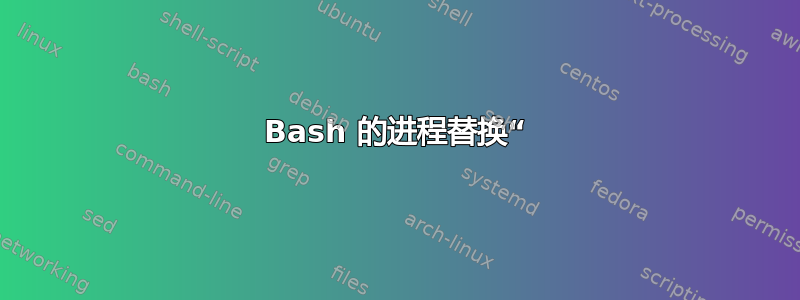 Bash 的进程替换“