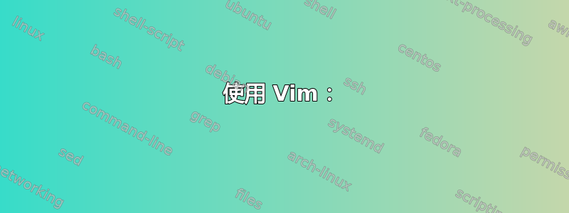 使用 Vim：