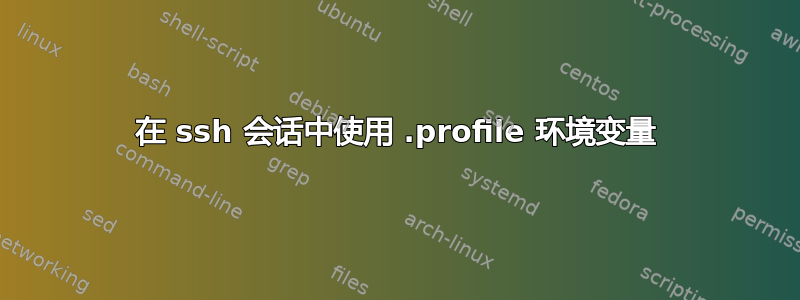 在 ssh 会话中使用 .profile 环境变量