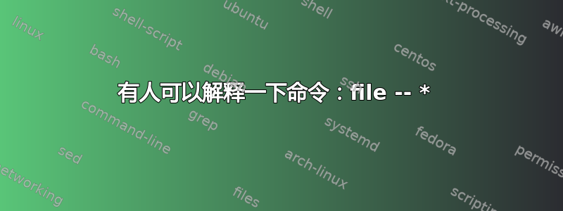 有人可以解释一下命令：file -- * 