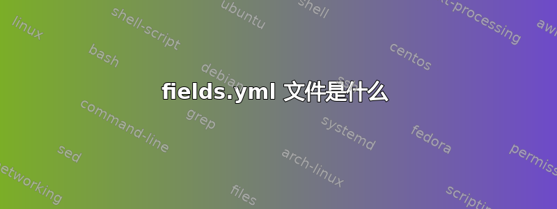 fields.yml 文件是什么