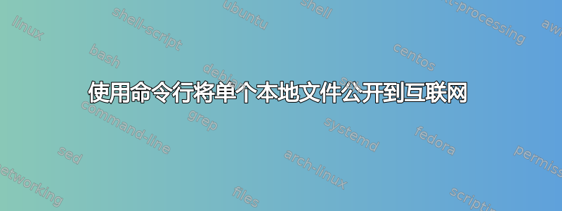 使用命令行将单个本地文件公开到互联网