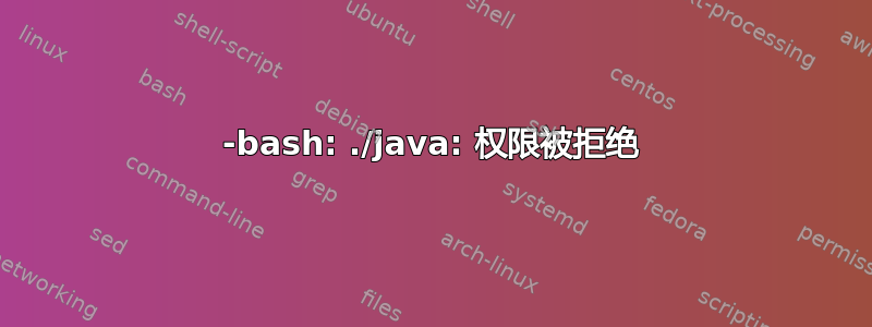 -bash: ./java: 权限被拒绝