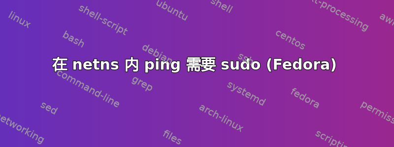 在 netns 内 ping 需要 sudo (Fedora)