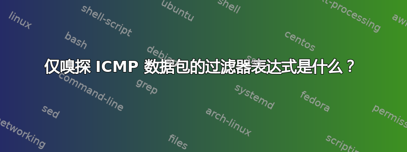 仅嗅探 ICMP 数据包的过滤器表达式是什么？