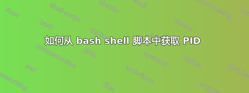 如何从 bash shell 脚本中获取 PID