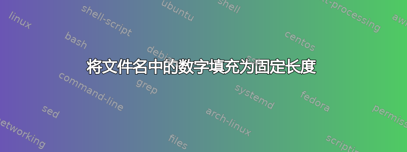 将文件名中的数字填充为固定长度