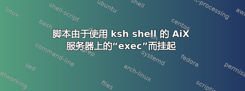 脚本由于使用 ksh shell 的 AiX 服务器上的“exec”而挂起