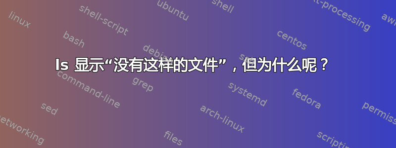 ls 显示“没有这样的文件”，但为什么呢？ 