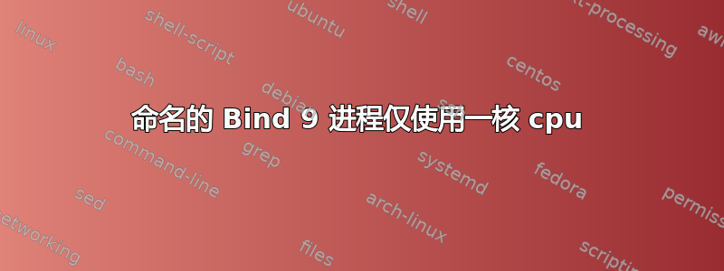 命名的 Bind 9 进程仅使用一核 cpu