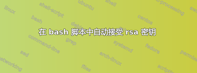 在 bash 脚本中自动接受 rsa 密钥