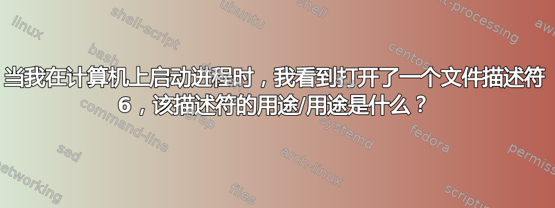 当我在计算机上启动进程时，我看到打开了一个文件描述符 6，该描述符的用途/用途是什么？