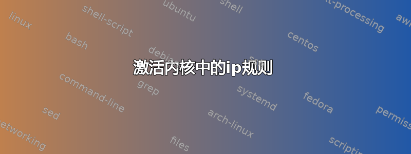 激活内核中的ip规则