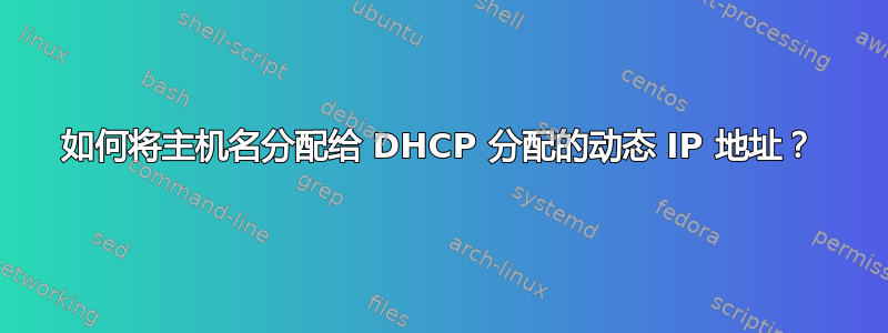 如何将主机名分配给 DHCP 分配的动态 IP 地址？