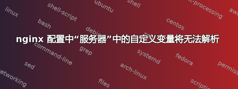 nginx 配置中“服务器”中的自定义变量将无法解析