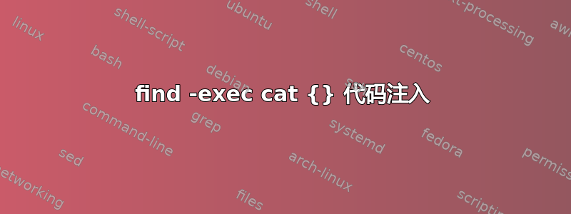 find -exec cat {} 代码注入