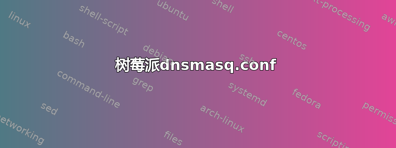 树莓派dnsmasq.conf