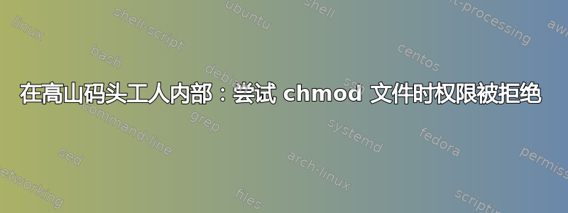 在高山码头工人内部：尝试 chmod 文件时权限被拒绝