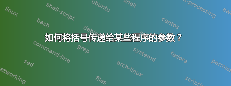 如何将括号传递给某些程序的参数？