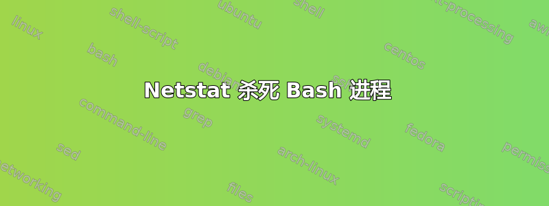 Netstat 杀死 Bash 进程 