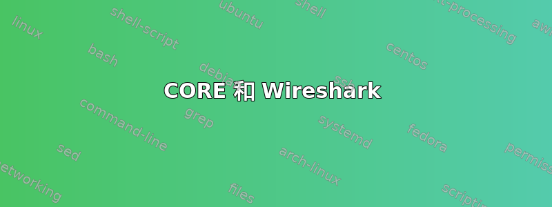 CORE 和 Wireshark